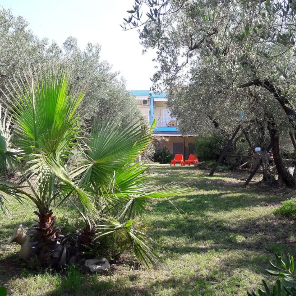 Green Paradise — Διόνυσος, Κασσάνδρα (φωτογραφία 16)