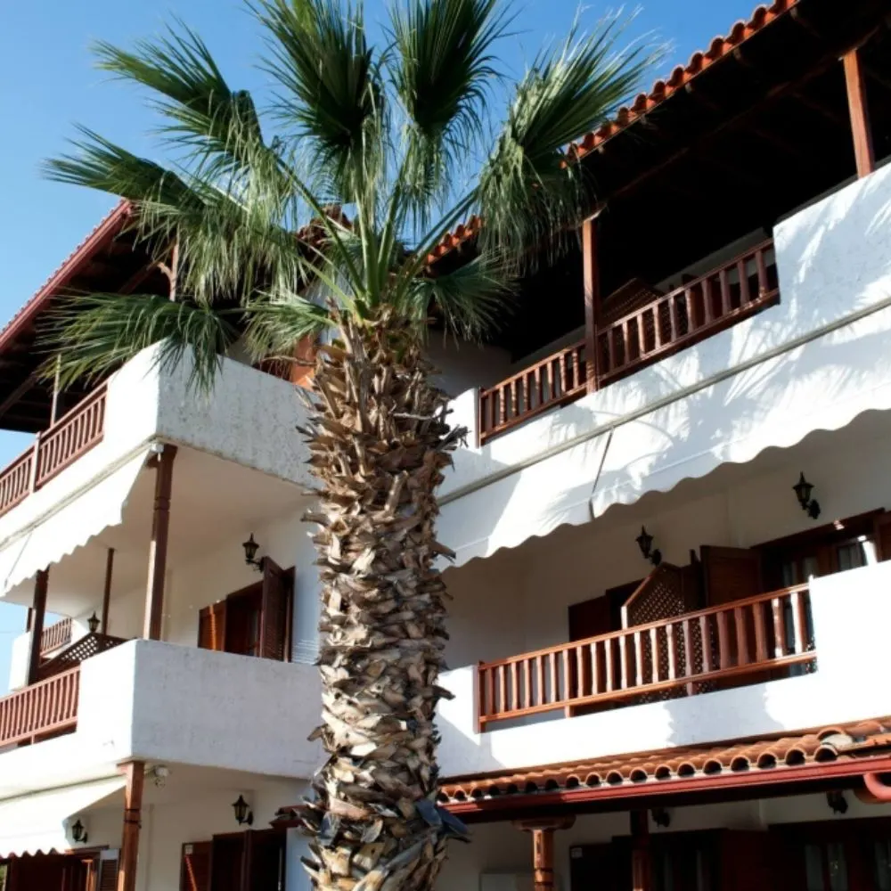 Marialena's House — Neos Marmaras, Sithonia (photo 5)