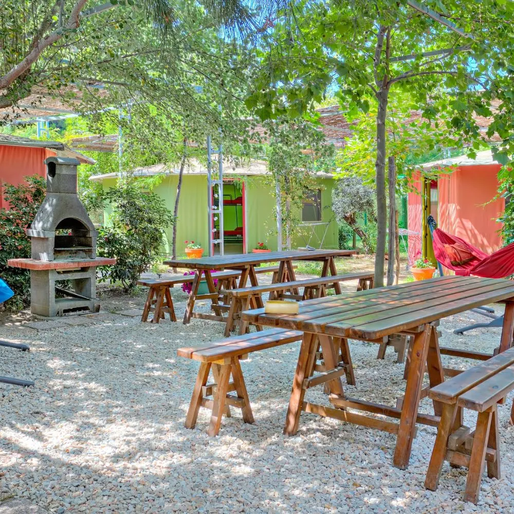 Armenistis Camping and Bungalows — Sarti, Sithonia (photo 4)