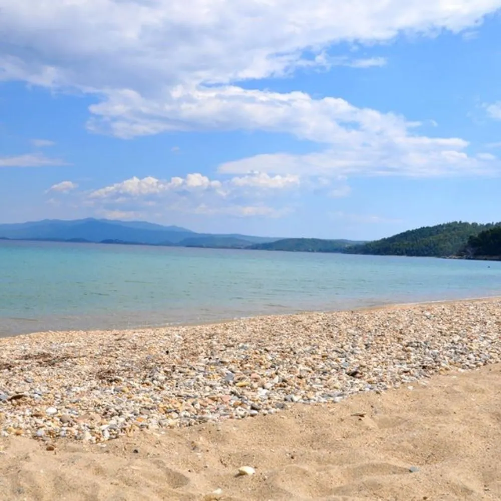 Akti - S — Παραλία Σαλονικιού, Σιθωνία (φωτογραφία 4)