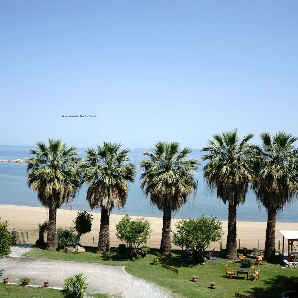 Pension Karvounoskala — Stratoni, Athos (fotografia 4)