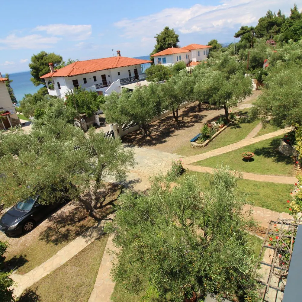 Olive House — Nikiti, Sitonija (fotografija 2)