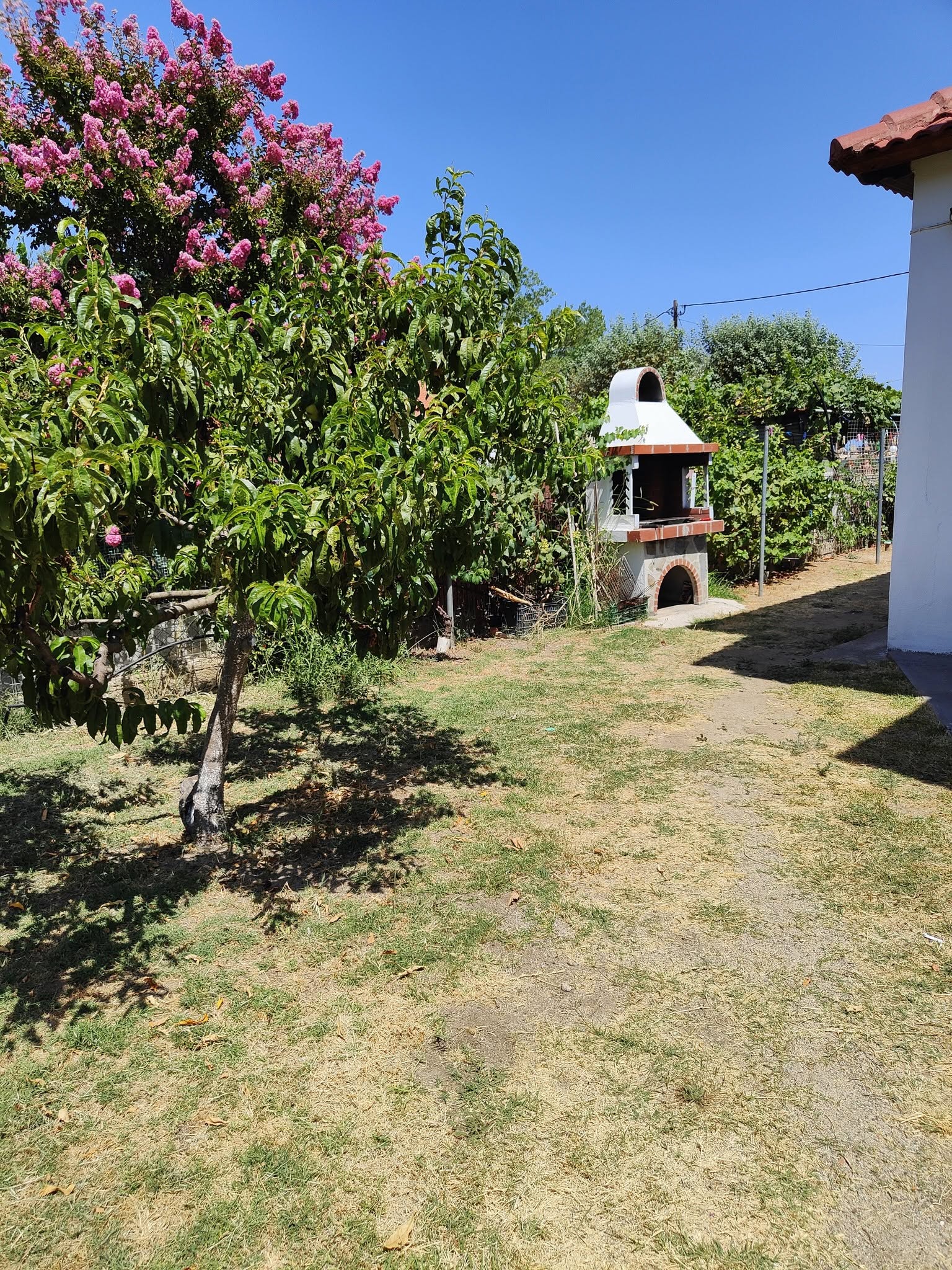 Toula's House — Sykia, Sithonia