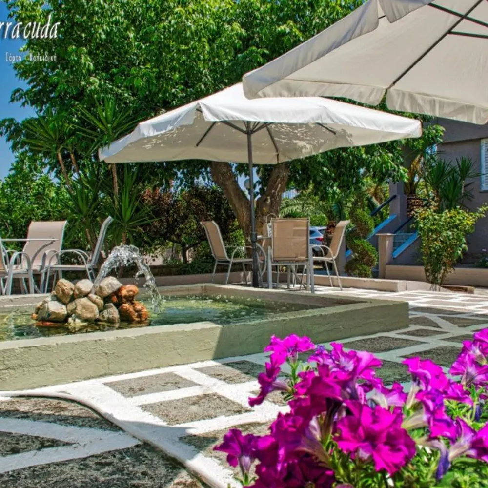 Barracuda Hotel — Sarti, Sithonia (photo 3)