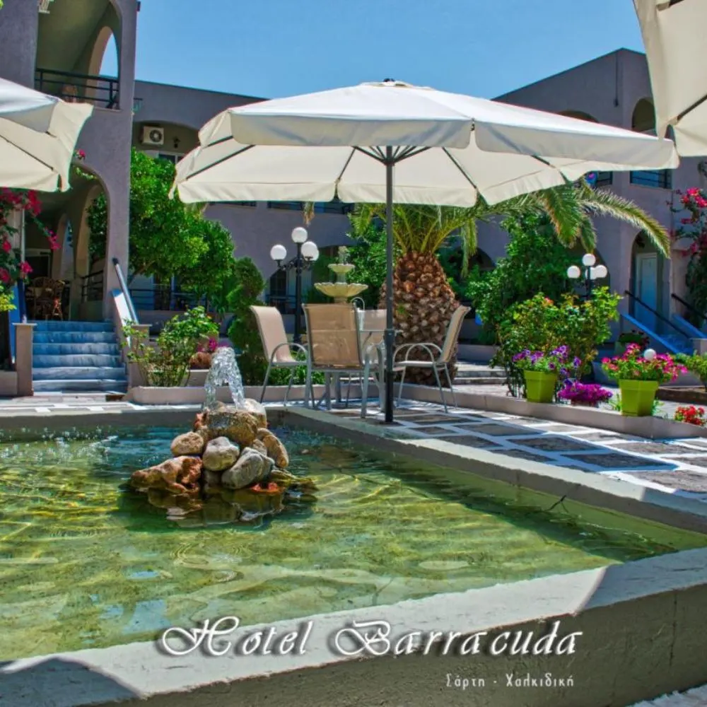 Barracuda Hotel — Sarti, Sithonia (photo 4)