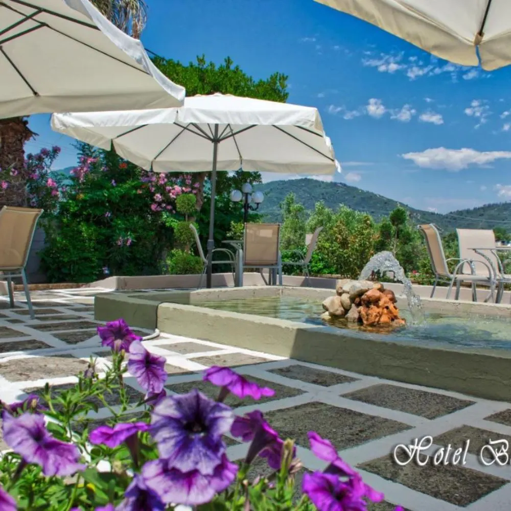 Barracuda Hotel — Sarti, Sithonia (photo 5)