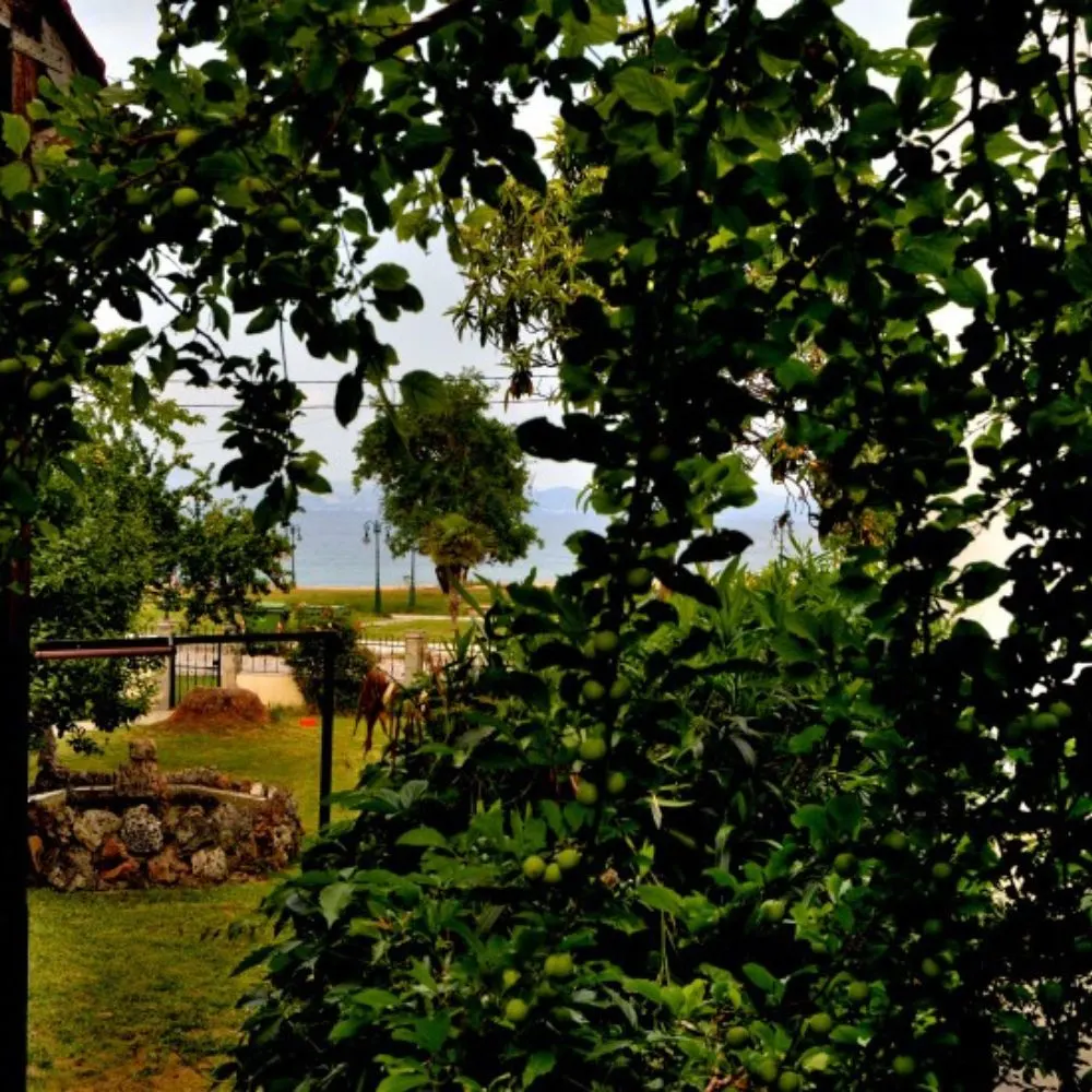 Apartments Konstantinidis — Nea Potidea, Kasandra (fotografija 3)