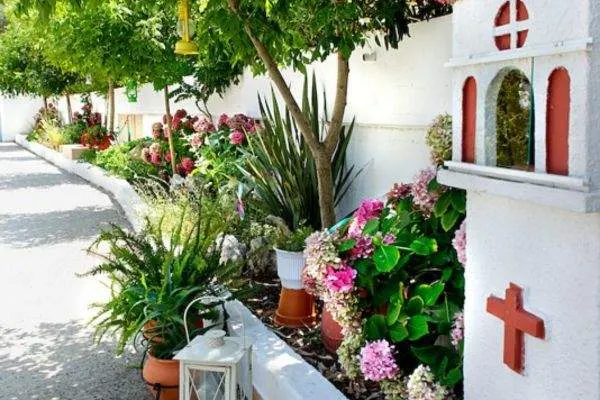 House Dimitra — Vourvourou, Sithonia (photo 5)