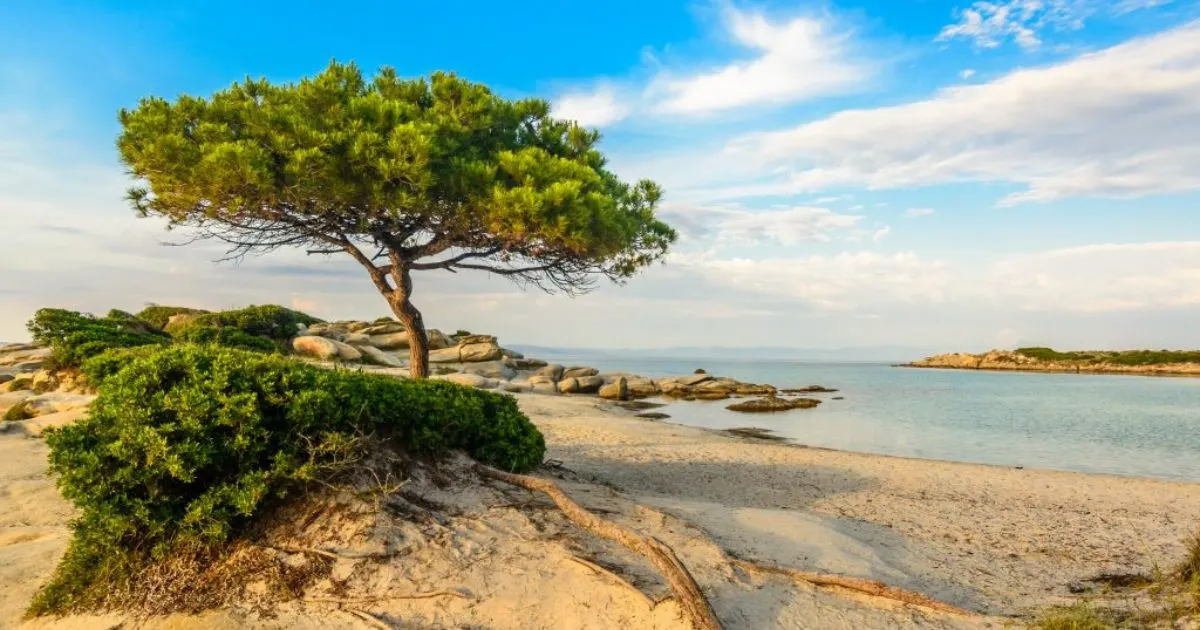 Plaza Vourvourou Halkidiki Grcka