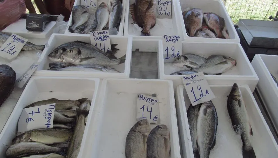 pijaca_halkidiki_2
