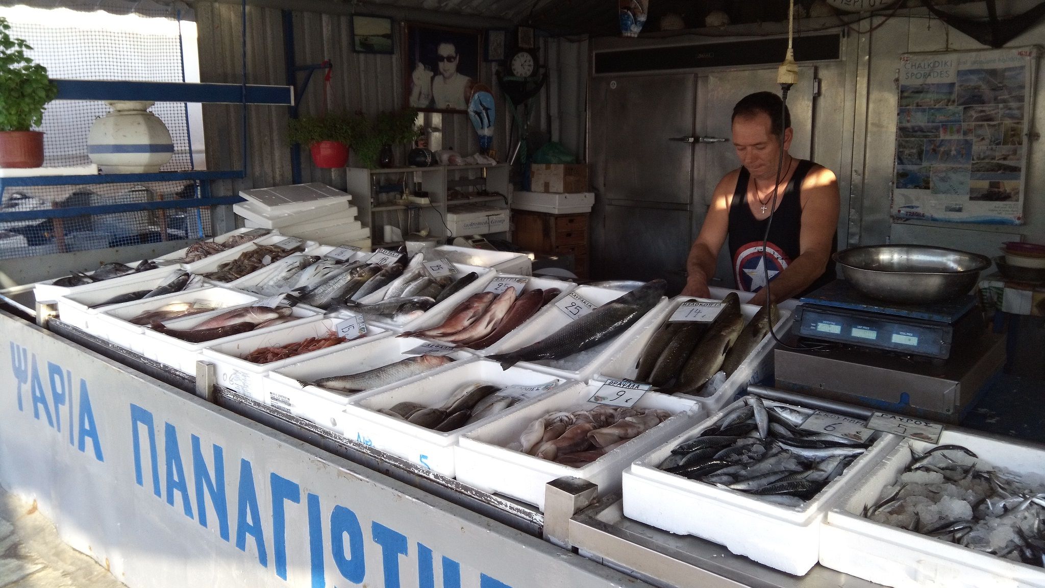 Osetite čari autentičnog ribarskog mesta na Halkidikiju